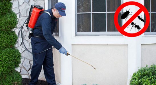 Kemeraltı Böcek İlaçlama böcek ilaçlama ve haşere kontrolü — ilaclama-tr.com